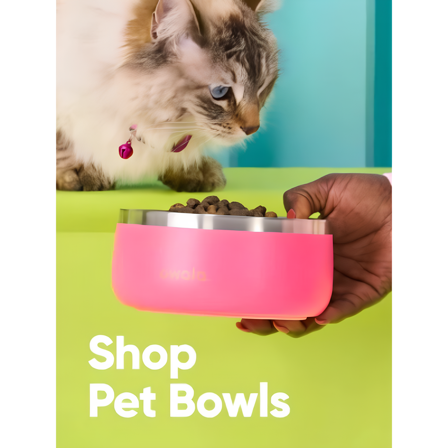 Pet Bowl